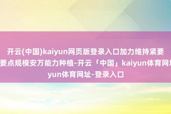 开云(中国)kaiyun网页版登录入口加力维持紧要计谋实行和要点规模安万能力种植-开云「中国」kaiyun体育网址-登录入口