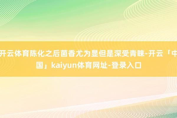 开云体育陈化之后菌香尤为显但是深受青睐-开云「中国」kaiyun体育网址-登录入口