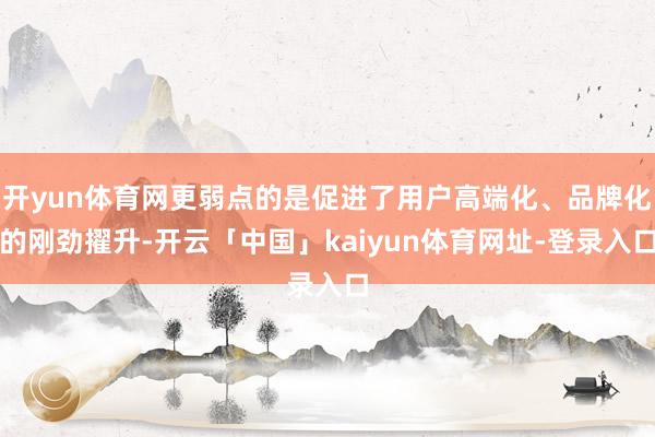 开yun体育网更弱点的是促进了用户高端化、品牌化的刚劲擢升-开云「中国」kaiyun体育网址-登录入口