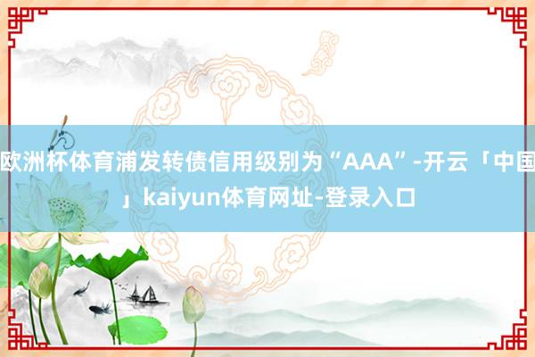 欧洲杯体育浦发转债信用级别为“AAA”-开云「中国」kaiyun体育网址-登录入口